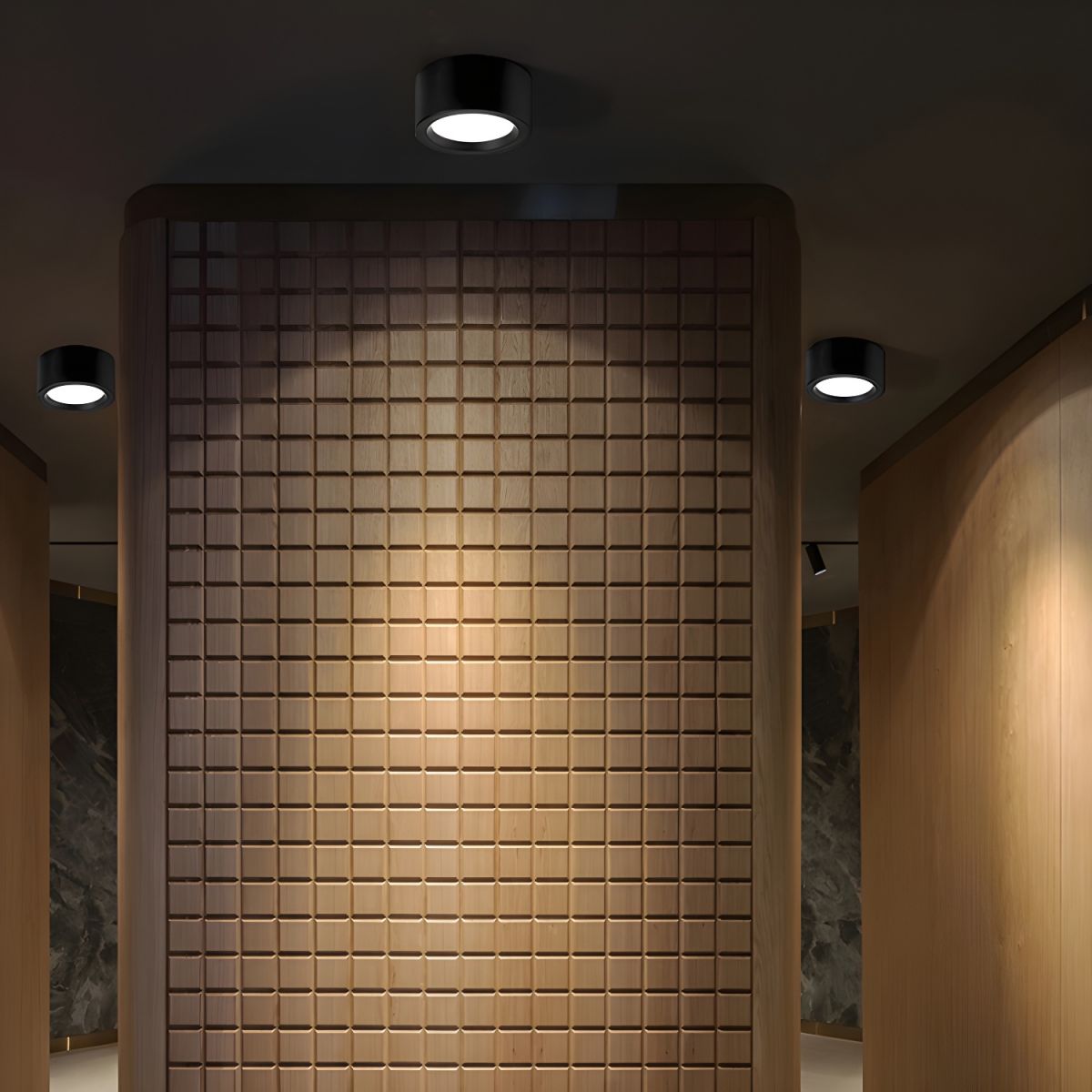 Rund LED Loftlampe | Påbygningsspot Sort/Hvid